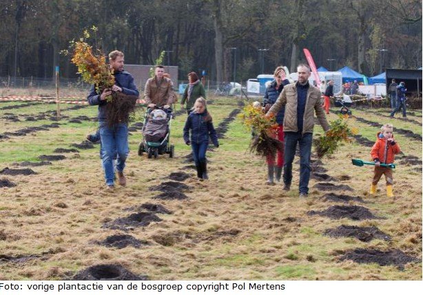 Bosgroepen provincie Antwerpen planten 15.600 nieuwe bomen - bosgroep