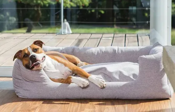 fantail hondenmanden - bopets