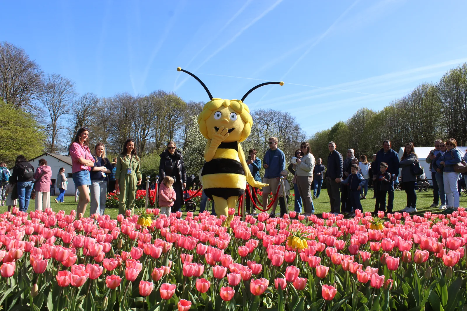 Maya Dagen Maya De Bij alleen kasteel Groot Bijgaarden 2026