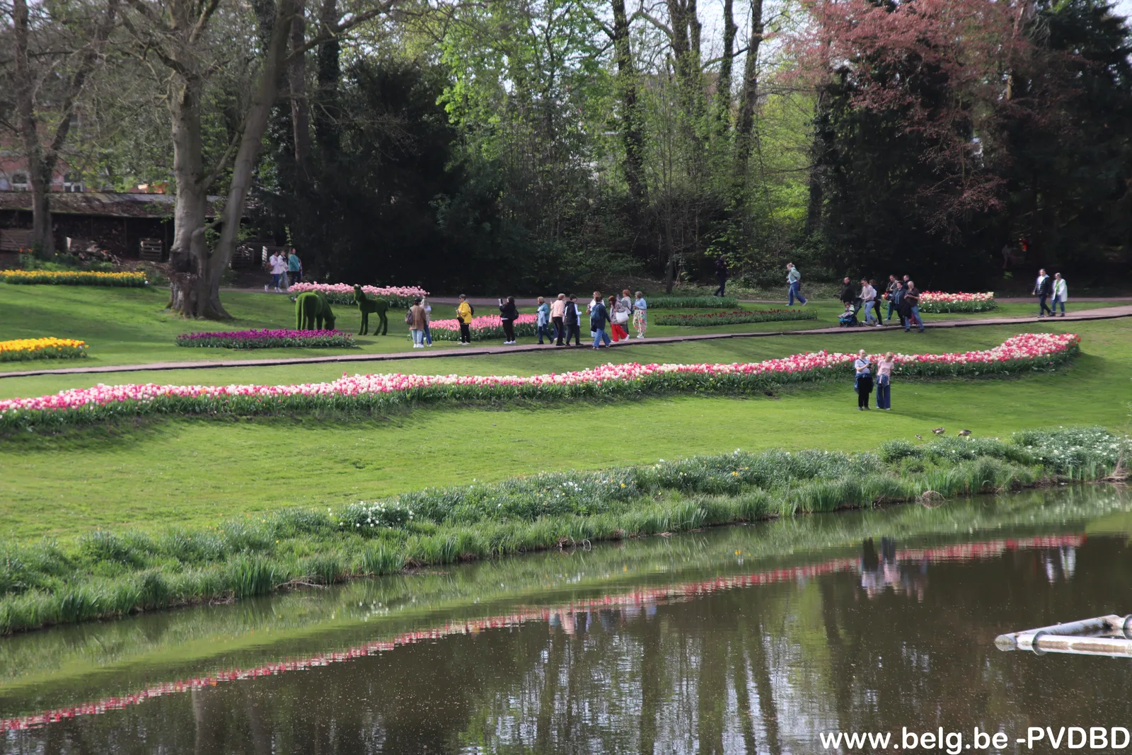 Sfeerbeeld Floraliën