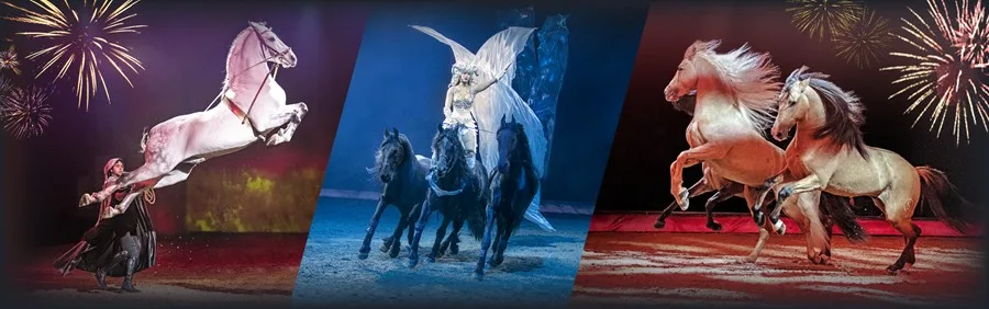 CAVALLUNA viert de vrijheid met ‘CELEBRATION!’