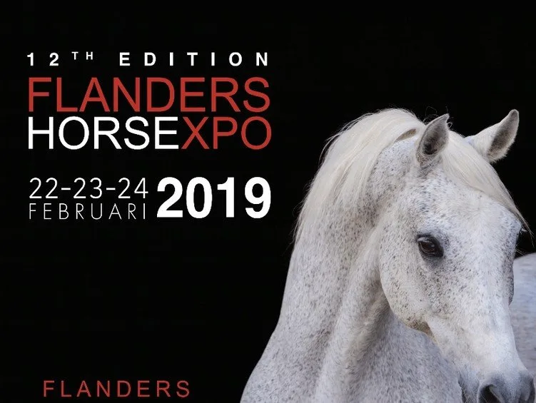 Aftellen naar Flanders Horse Expo 2019