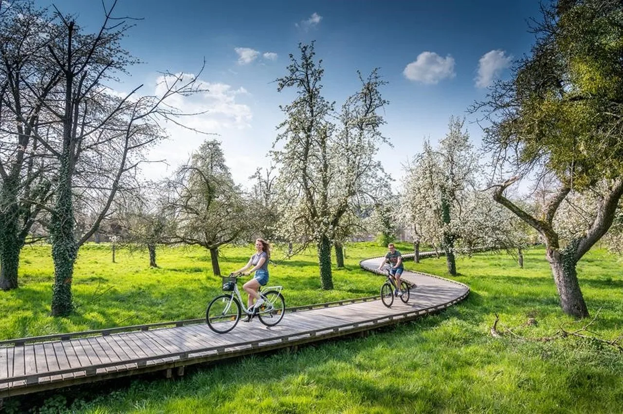 bloesemfestival en Dauwconcert met Jef Neve