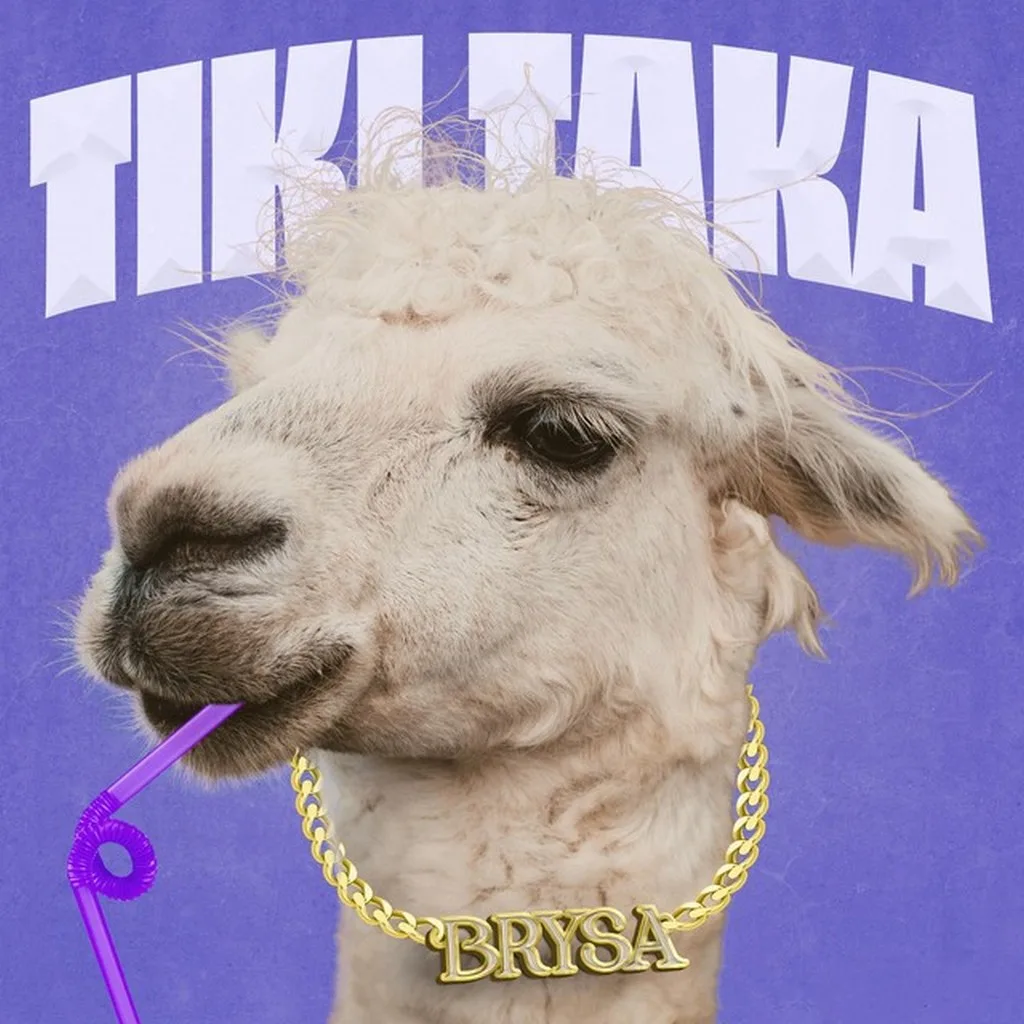 Brysa zorgt voor heisa