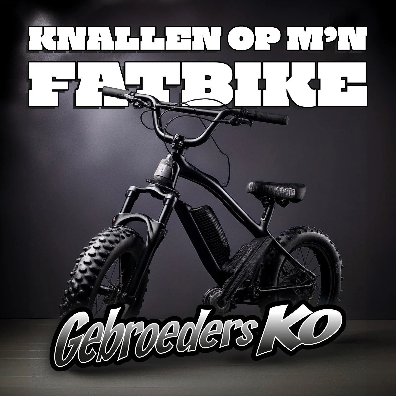 Gebroeders Ko met Knallen Op M’n Fatbike, volgende (TikTok)-hit?