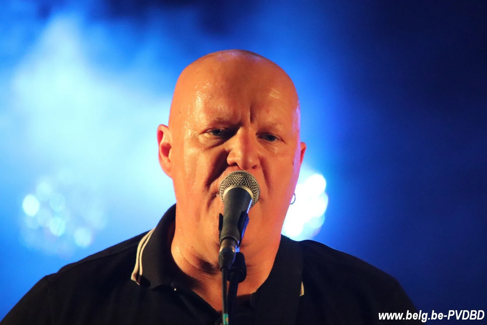 16e Vijverfestival Dilbeek groot succes