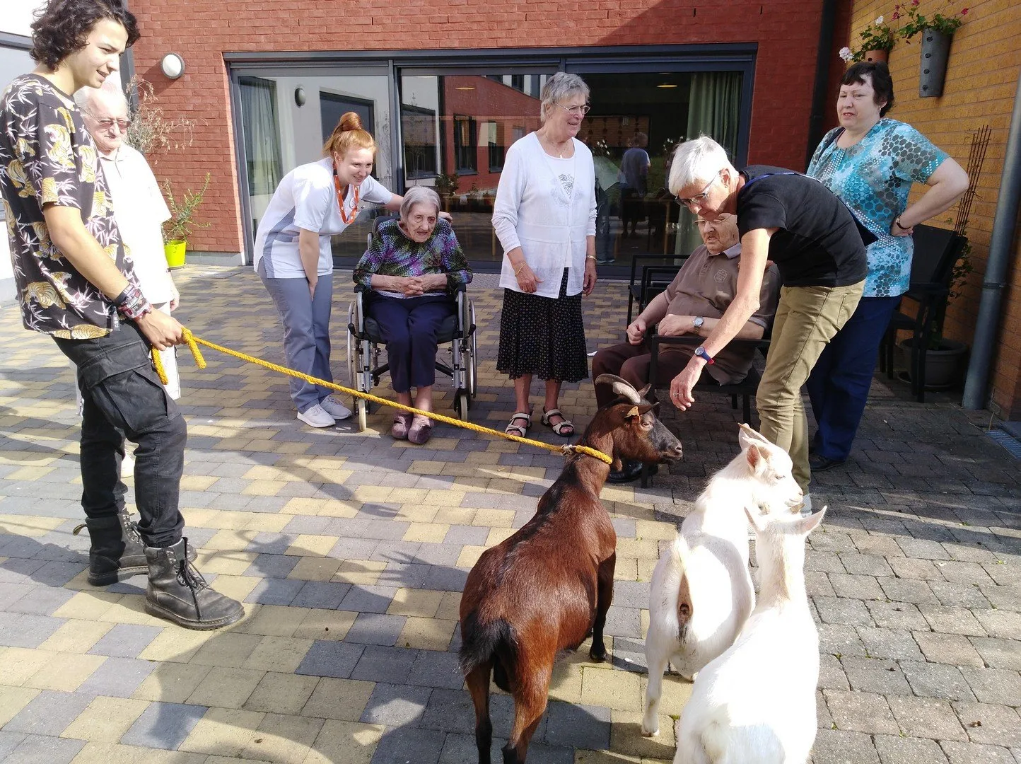 Woonzorgcentrum Quietas@Armonea steunt de Ark van Pollare