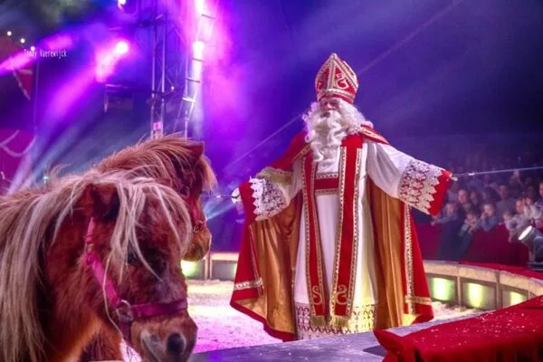 Sint In De Piste met pony's