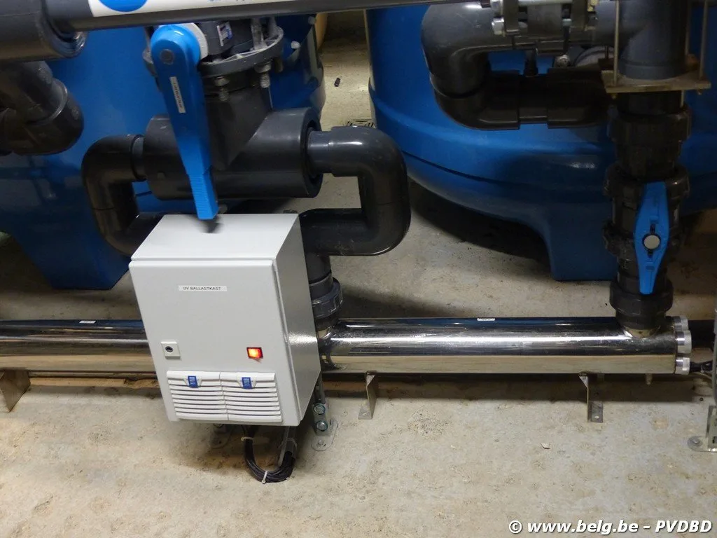 Dilbeeks zwembad kleurt buiten de lijntjes