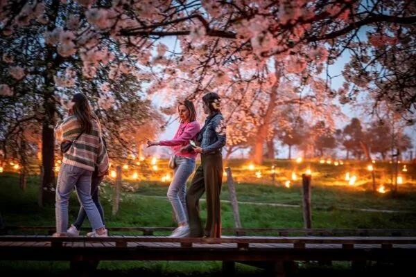 Bloesemprogramma Bilzen en Hoeselt