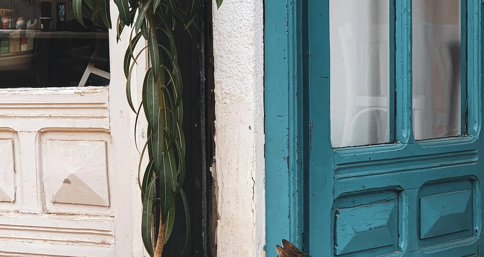 De tijdloze elegantie van paneeldeuren