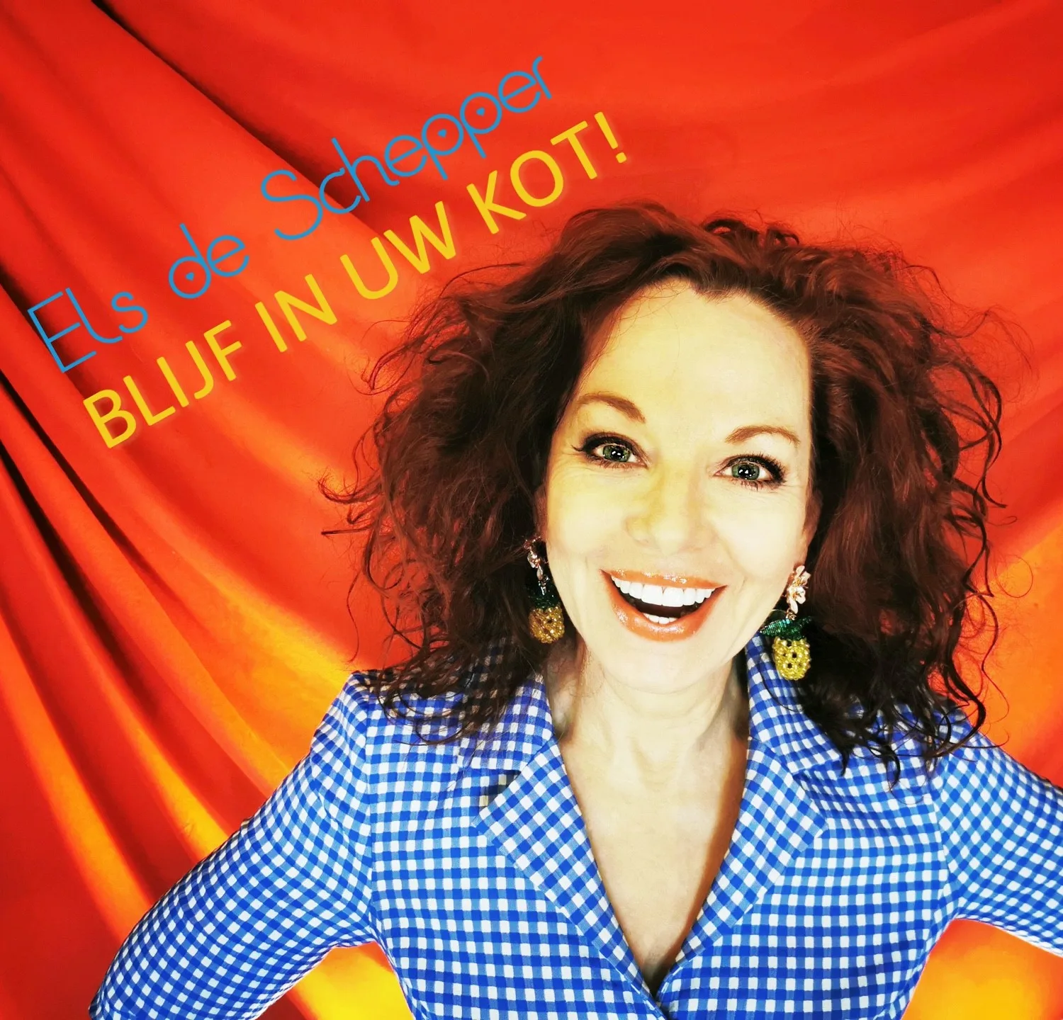 Hoes Els De Schepper Blijf In Uw Kot