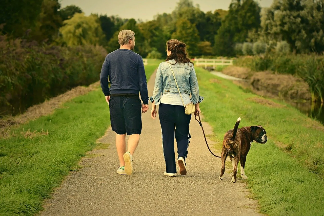 3 tips voor een ontspannende wandeling met je hond