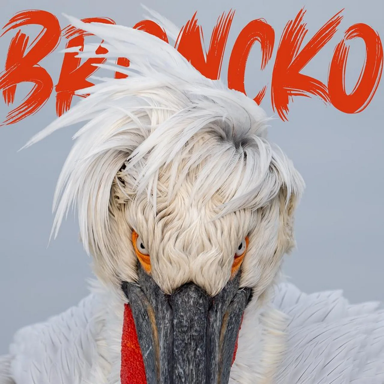 Broncko ft. Stéphanie Onclin, ‘Moon and Stars'