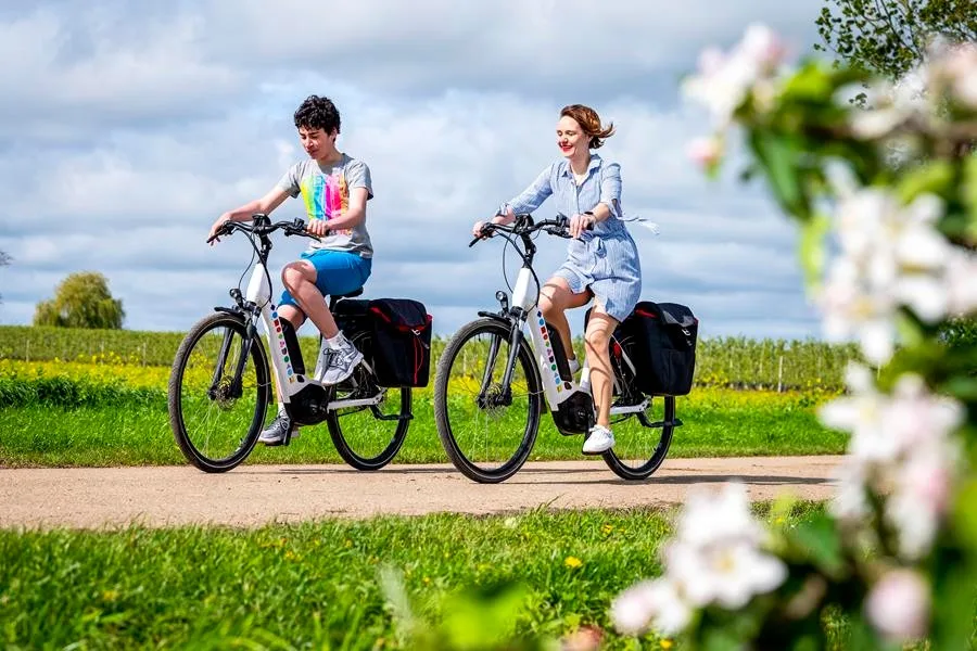 Bloesems in Bilzen-Hoeselt: meer dan 30 redenen om deze lente langs te komen