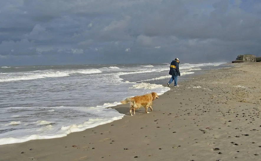 Strandopruimacties met de Federal Truck