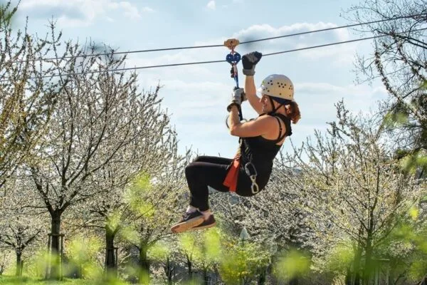 Bilzen-Hoeselt met de spectaculaire ‘bloesem-zipline’
