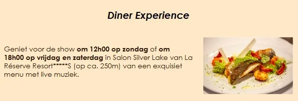 Grand show Mirage Magic 2025 Diner Experience