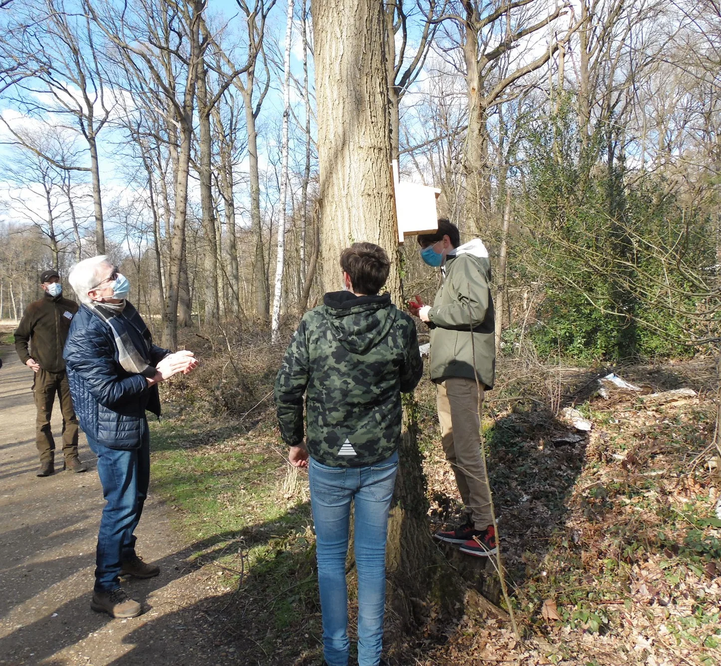 Mezen bestrijden eikenprocessierups in De Averegten