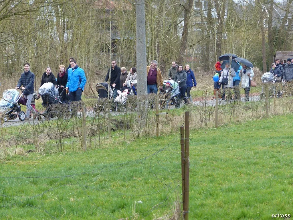 Zomerwandelingen Davidsfonds