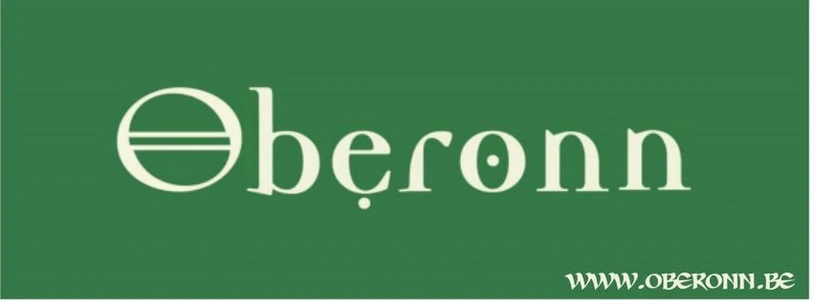 Hasseltse spellenspeciaalzaak Oberonn organiseert maandag een ‘Winterland spelmiddag’: