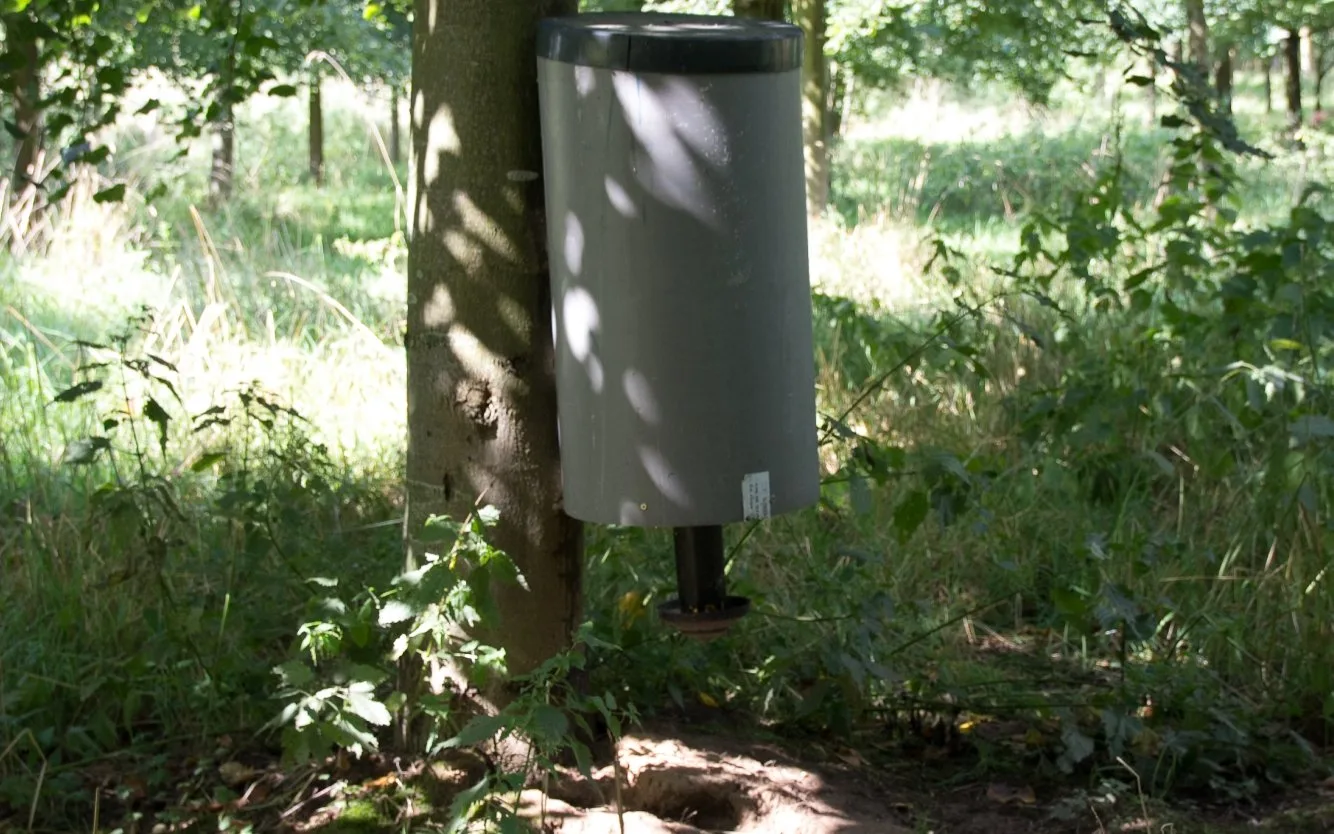 Geboortebos Haaltert nu ook als voederplaats voor fazanten