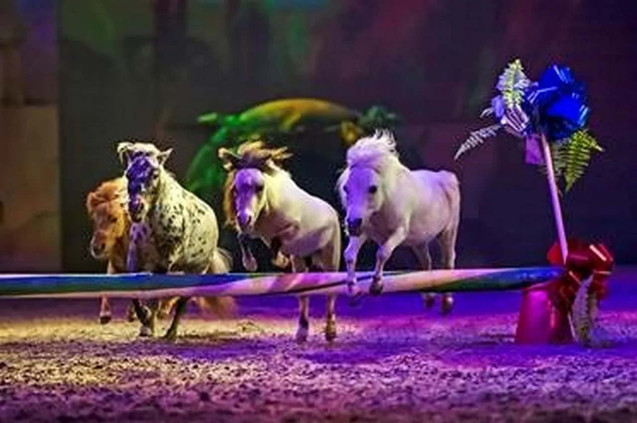 Mila Braeckman onder de indruk na ontmoeting