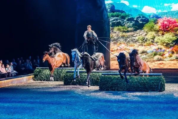 CAVALLUNA Dortmund 2025 ruiter met vier paarden