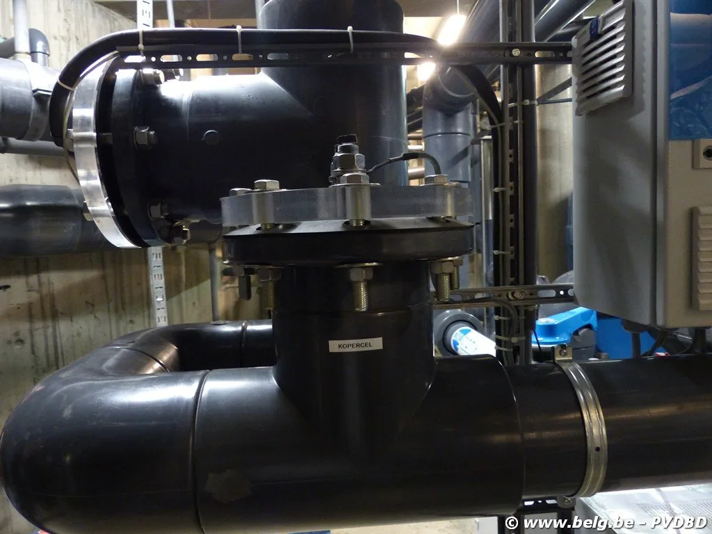 Dilbeeks zwembad kleurt buiten de lijntjes