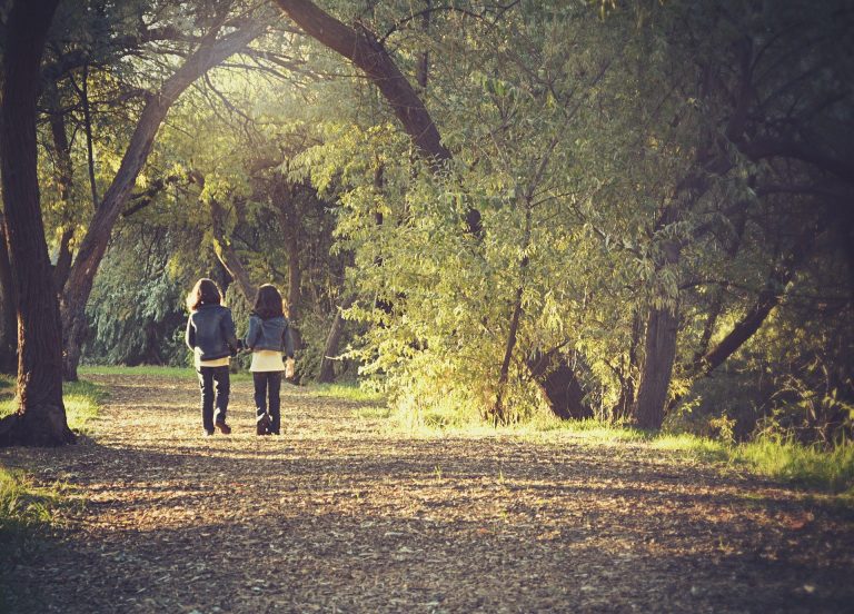 Wandelen tussen Berlare en Dendermonde