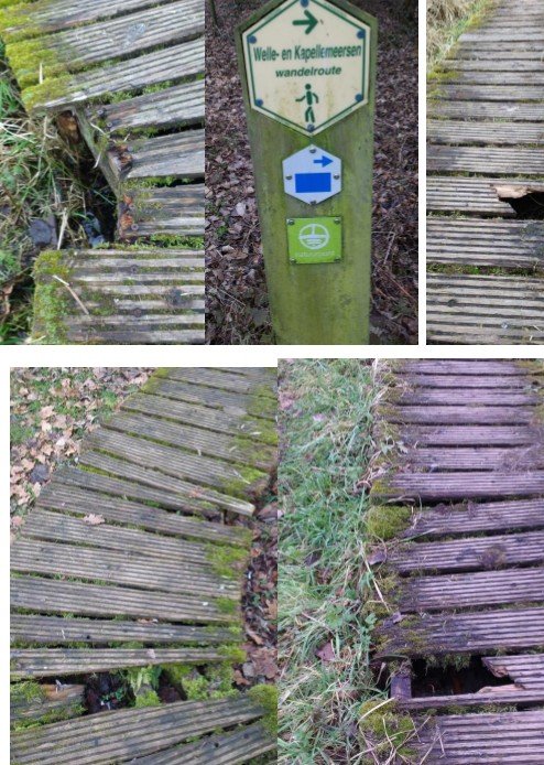 Natuurreservaat Wellemeersen in verval - welle planken