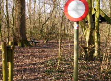 Natuurreservaat Wellemeersen in verval - welle