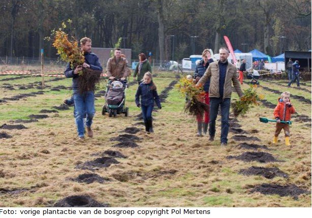 Bosgroepen provincie Antwerpen planten 15.600 nieuwe bomen