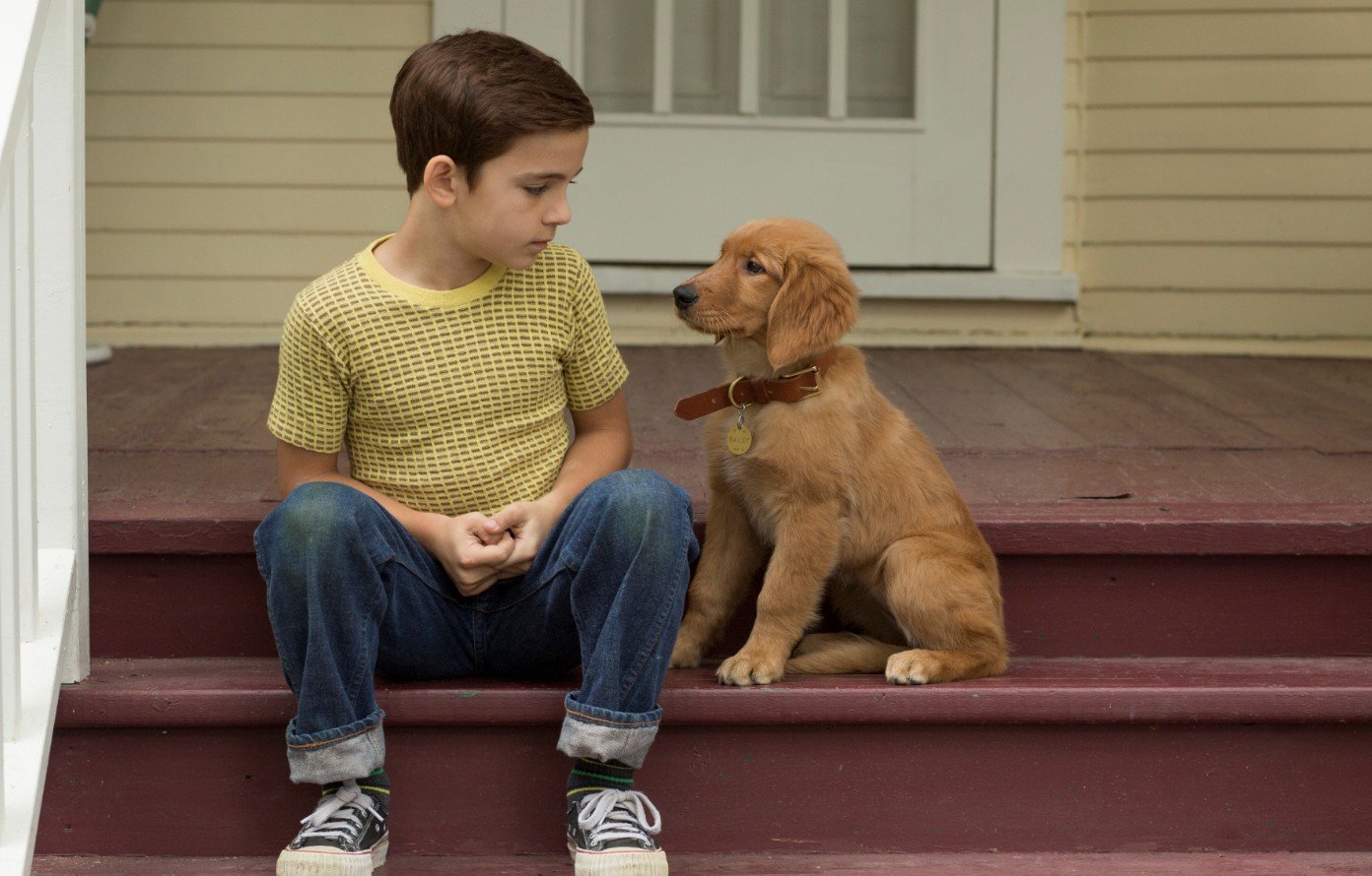 Filmtip - A Dogs Purpose - Beeld Entertainment One 1