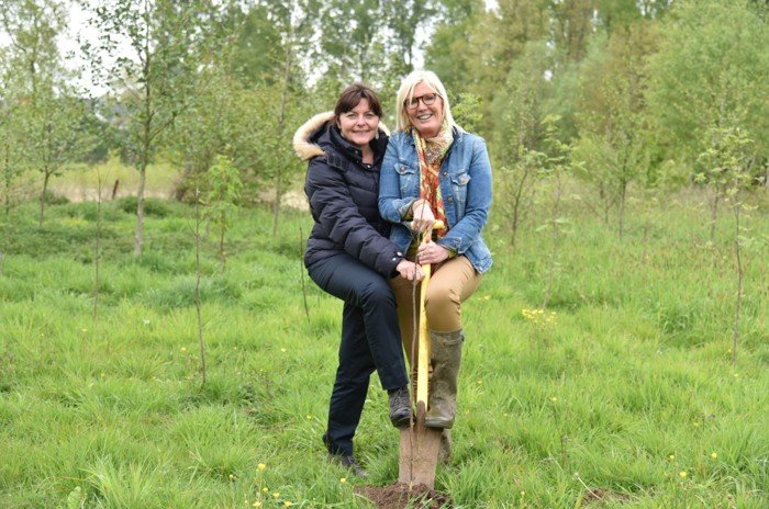 Haaltert – 175 nieuwe bomen in geboortebos