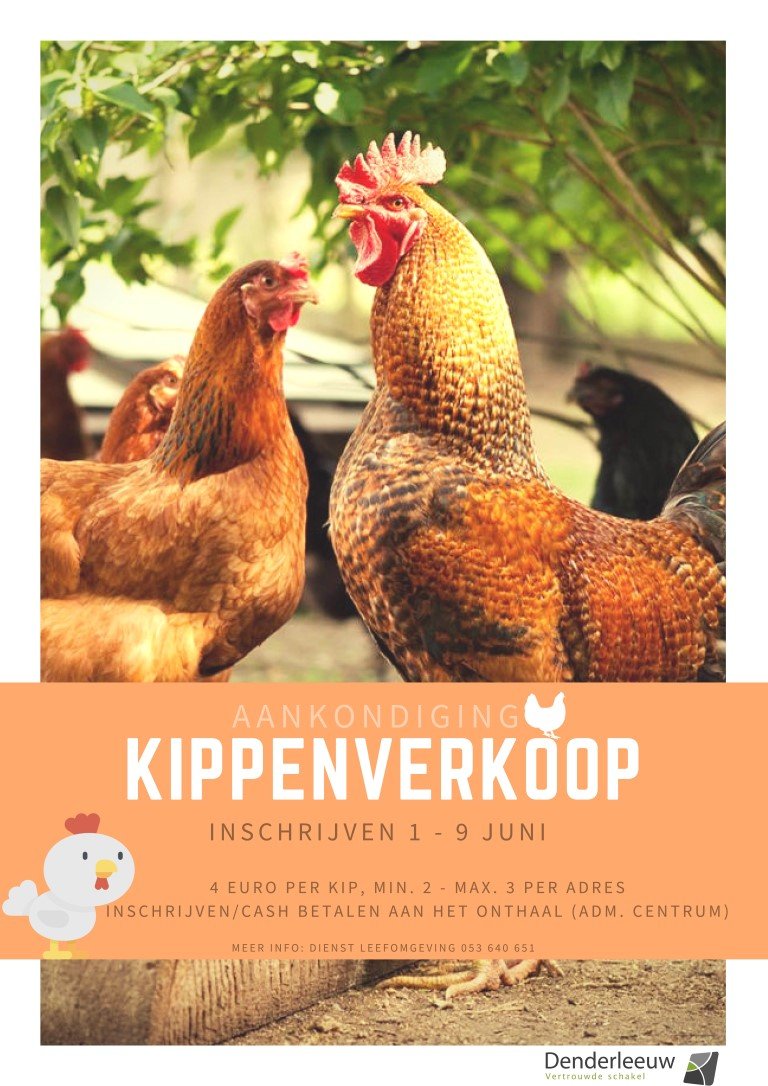 Gemeente Denderleeuw organiseert tweede kippenverkoop - Affiche20kippenverkoop20Medium