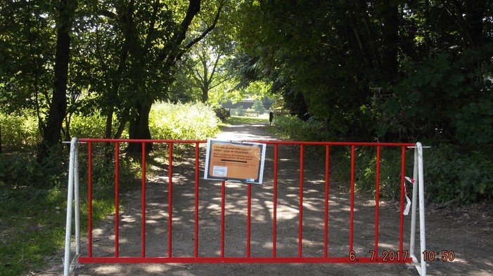 Gevaar voor vallende takken op de Vissersdijk - foto stad gent