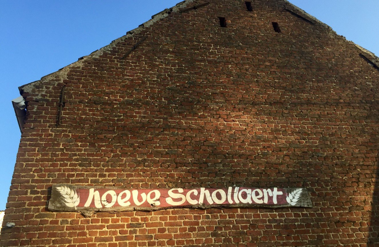 DE HALF-OOGSTFEESTEN komen terug naar DENDERHOUTEM - hoeve scholaert