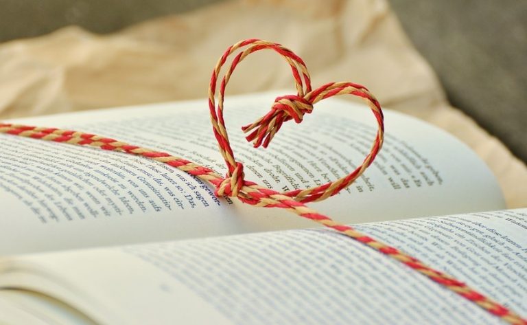 Samen boeken kaften in de bib van Aalst