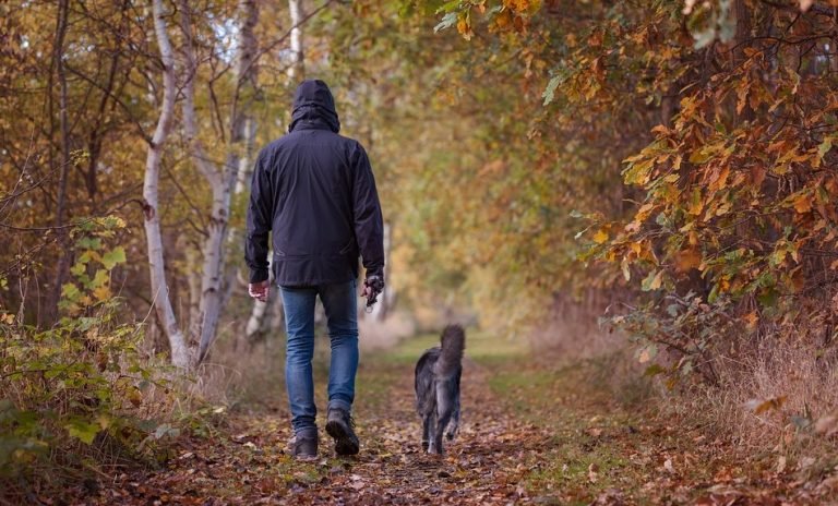 De mooiste stukjes Aalsterse natuur tijdens een maandelijkse wandeling