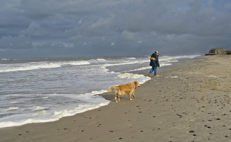 Strandopruimacties met de Federal Truck