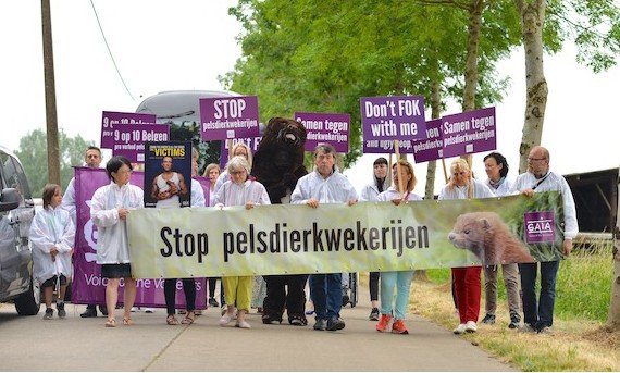 Nertsenfokker Beveren-Waas mag uitbreiden van Joke Schauvliege - pelsdieren