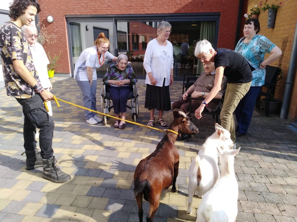 Woonzorgcentrum Quietas@Armonea steunt de Ark van Pollare - Quietas 2