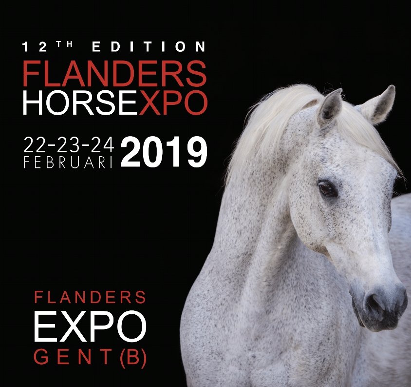 Flanders Horse Expo