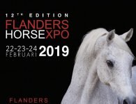 flanders expo 2019