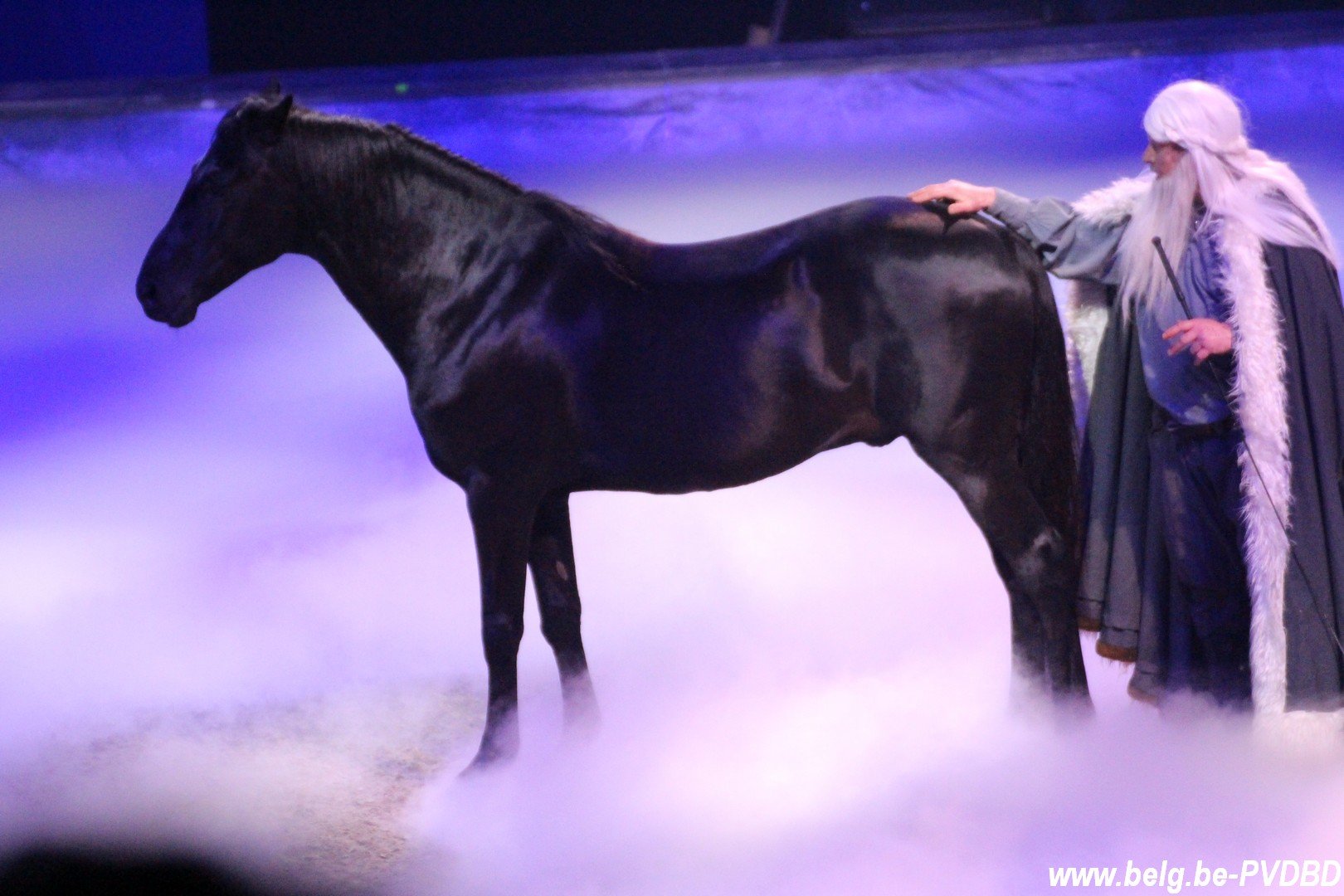 Cavalluna komt terug naar het Sportpaleis met ‘Legend of the Desert’ - IMG 4432