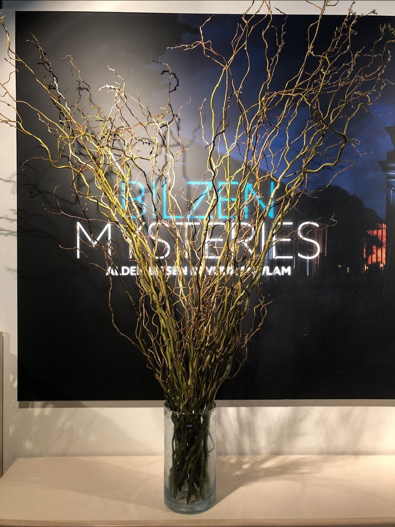 Bilzen Mysteries verstopt één gouden en 400 lichtgevende paaseieren - Bilzen Mysteries 8