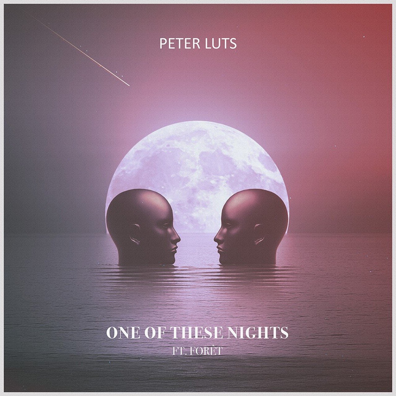 Peter Luts en Nederlandse Celine Forêt scoren internationale aandacht - Hoes one of these Nights