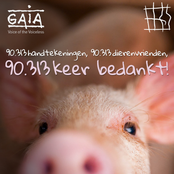 Actie ‘Stop de kooien’ sluit af met 1,5 miljoen handtekeningen - Gaia 1