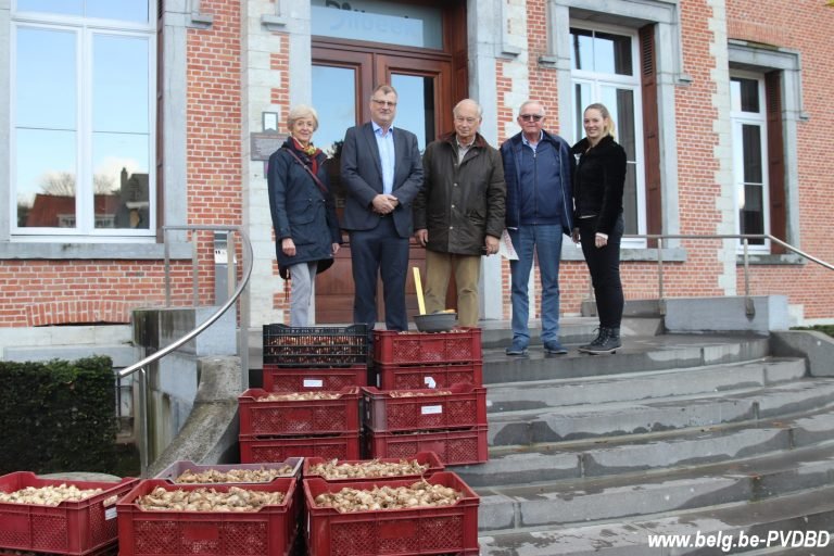 Dilbeek ontvangt 10.000 voorjaarsbollen van het kasteel van Groot-Bijgaarden